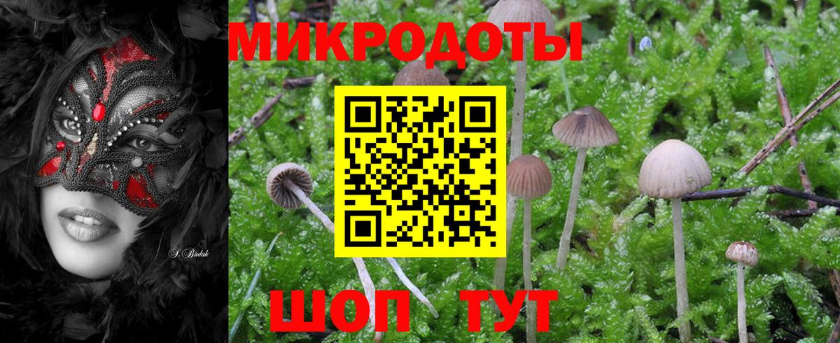Псилоцибиновые грибы MAGIC MUSHROOMS Прокопьевск